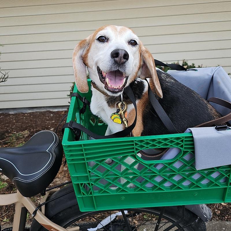 Photo of recovered bike