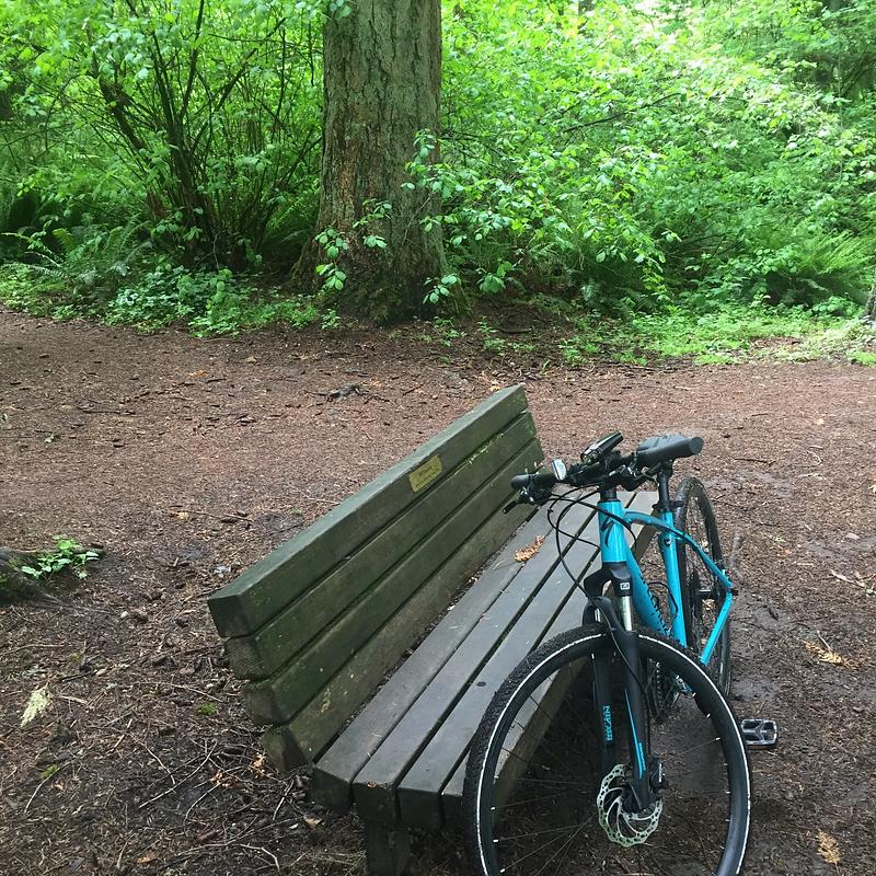 Photo of recovered bike