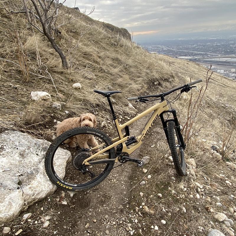 Photo of recovered bike