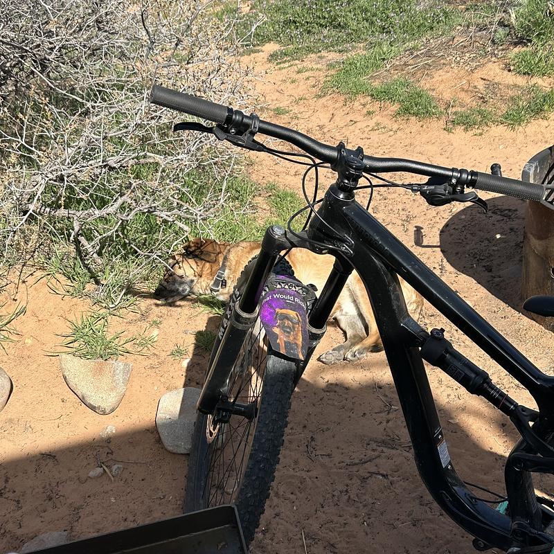 Photo of recovered bike