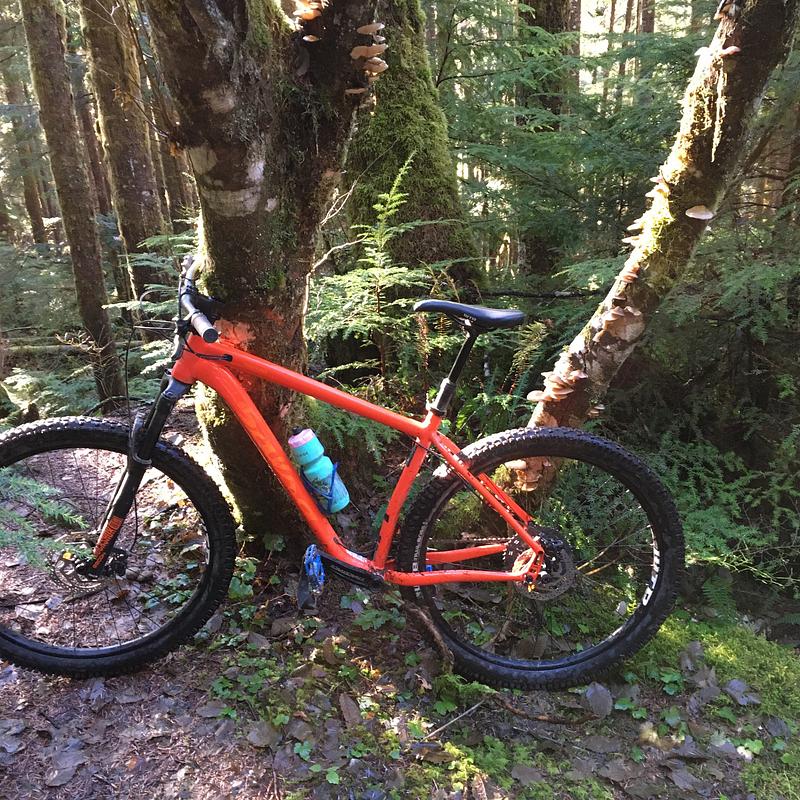 Photo of recovered bike