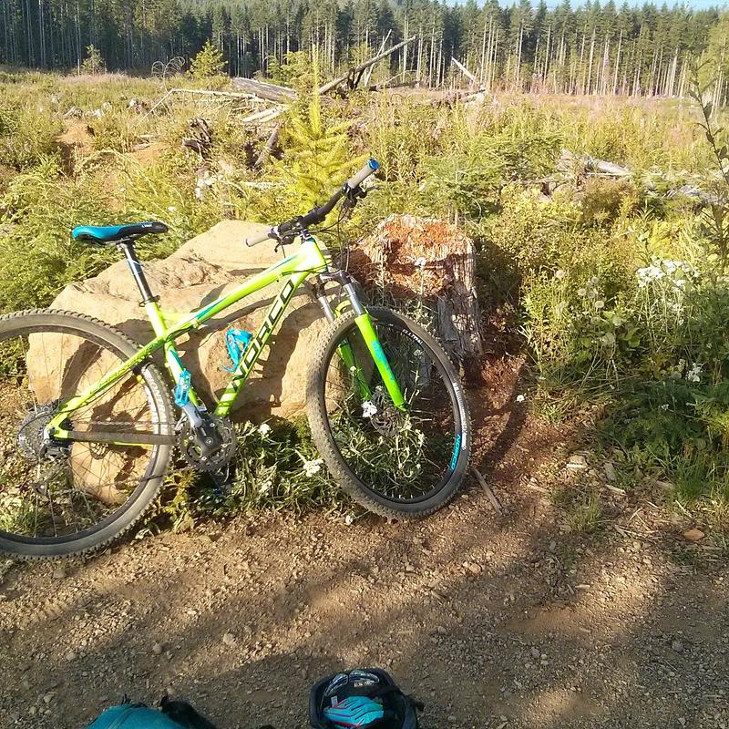 Photo of recovered bike