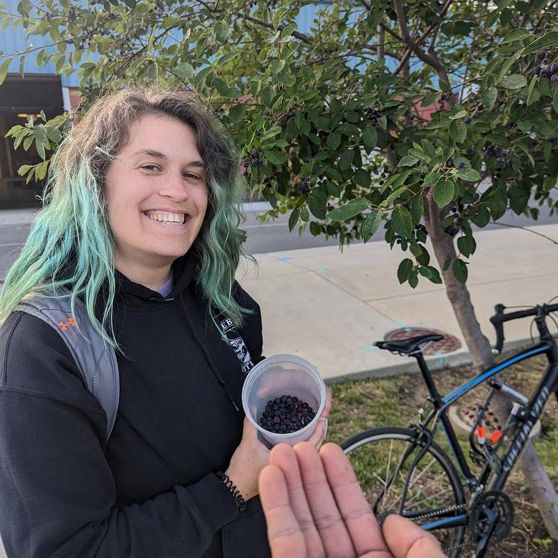 Photo of recovered bike