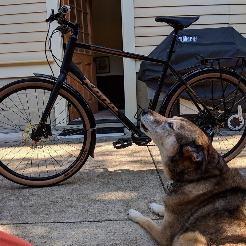 Photo of recovered bike