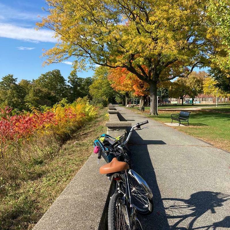 Photo of recovered bike