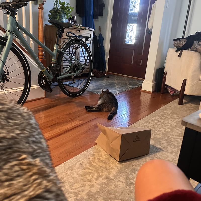 Photo of recovered bike