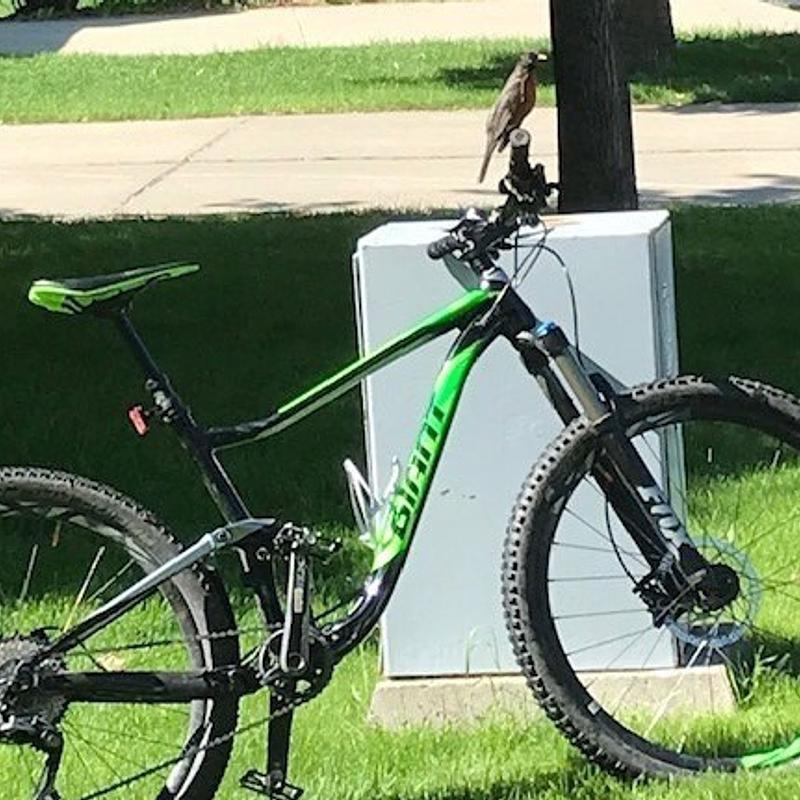 Photo of recovered bike
