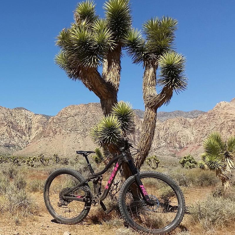 Photo of recovered bike
