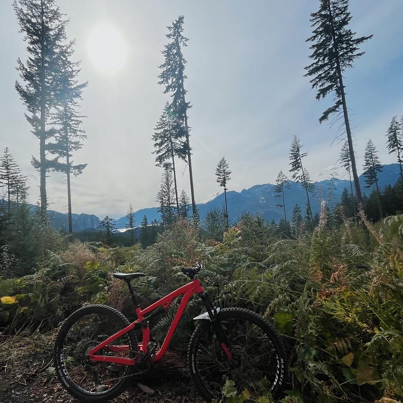 Photo of recovered bike