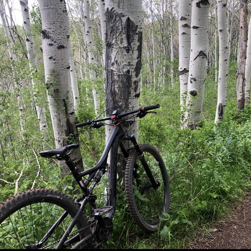 Photo of recovered bike