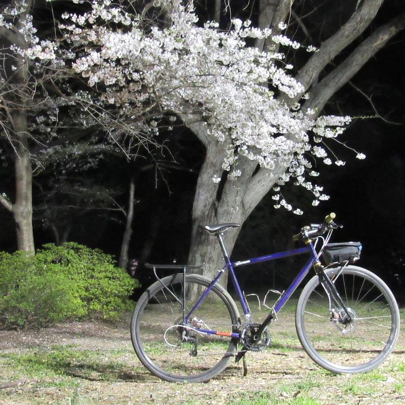 Photo of recovered bike