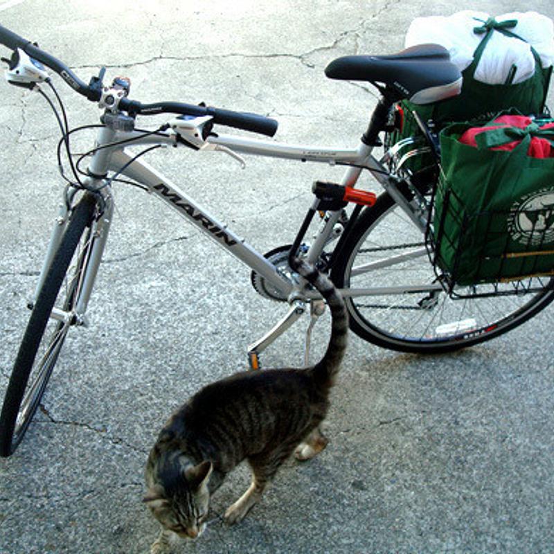 Photo of recovered bike