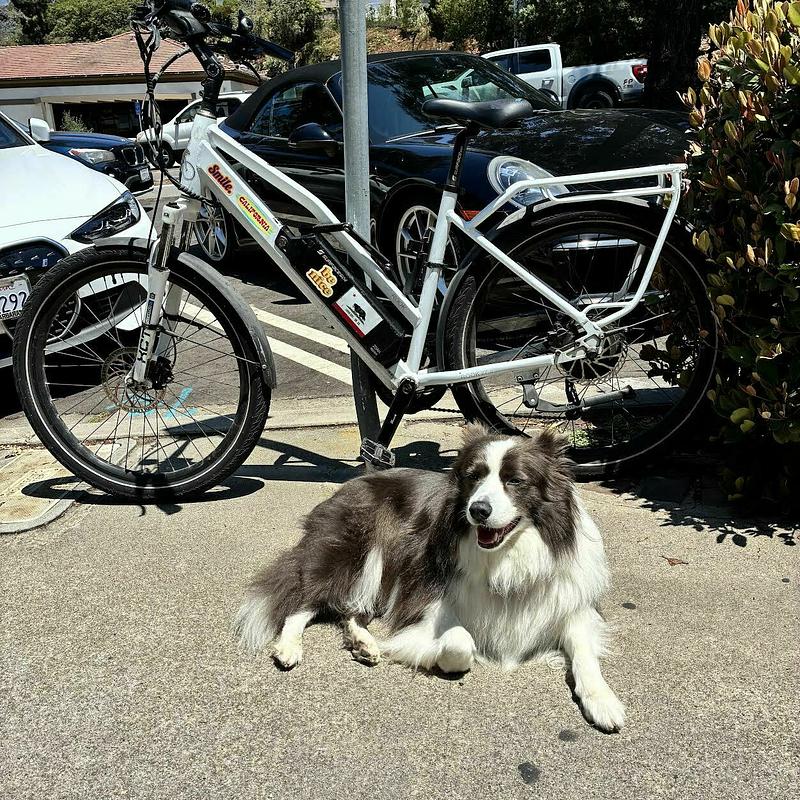 Photo of recovered bike