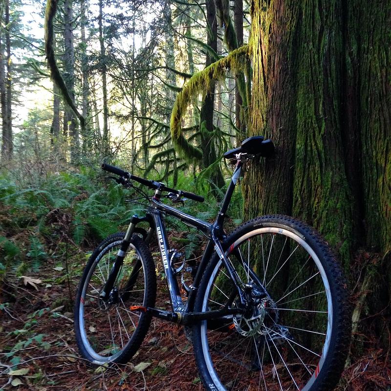 Photo of recovered bike