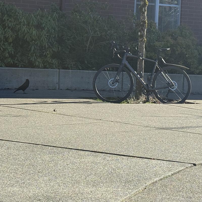 Photo of recovered bike