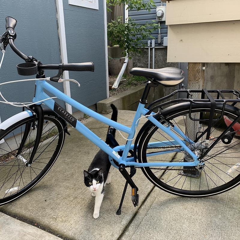 Photo of recovered bike