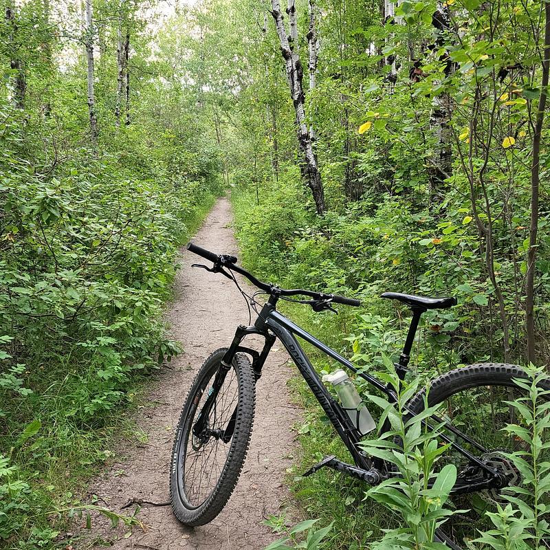 Photo of recovered bike