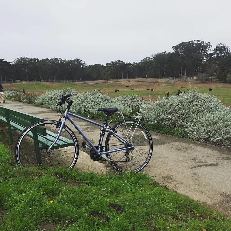 Photo of recovered bike