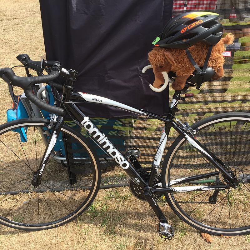 Photo of recovered bike