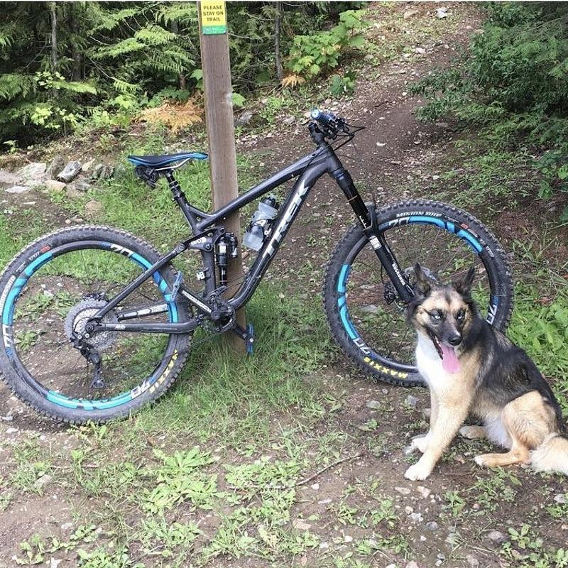 Photo of recovered bike