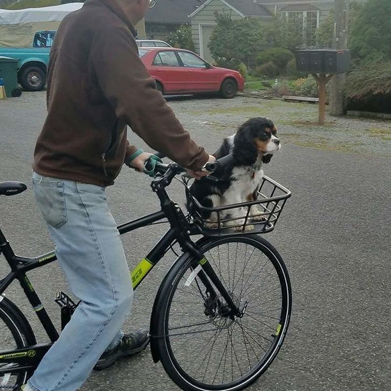 Photo of recovered bike