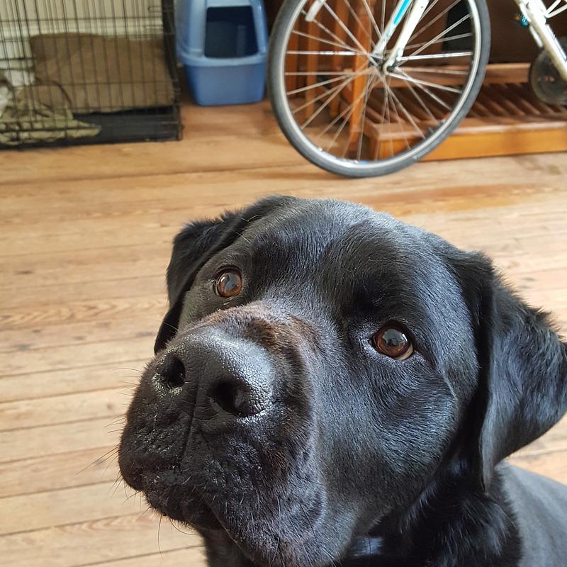 Photo of recovered bike