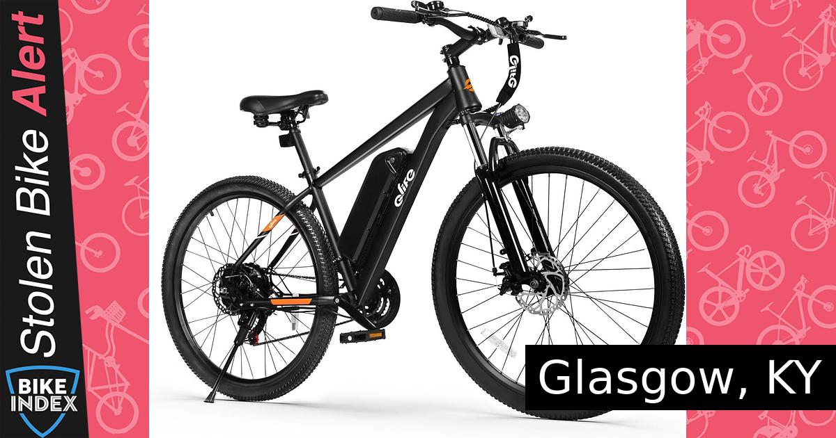 Stolen 2024 Qlife Racer Mountain E-Bike