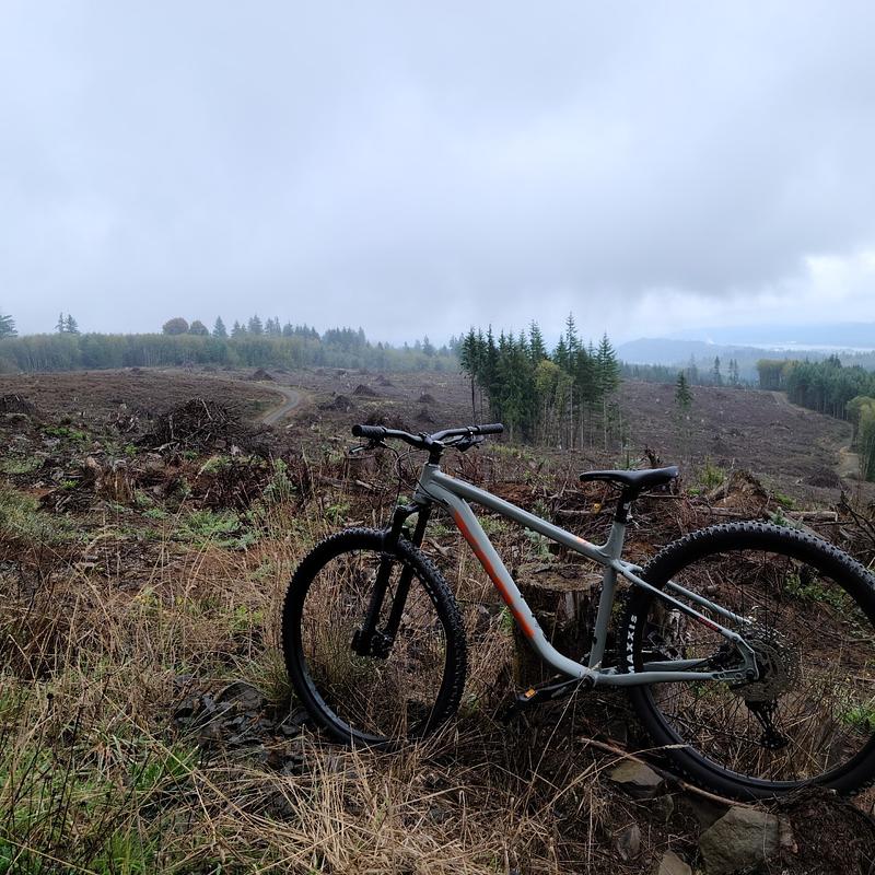 Photo of recovered bike