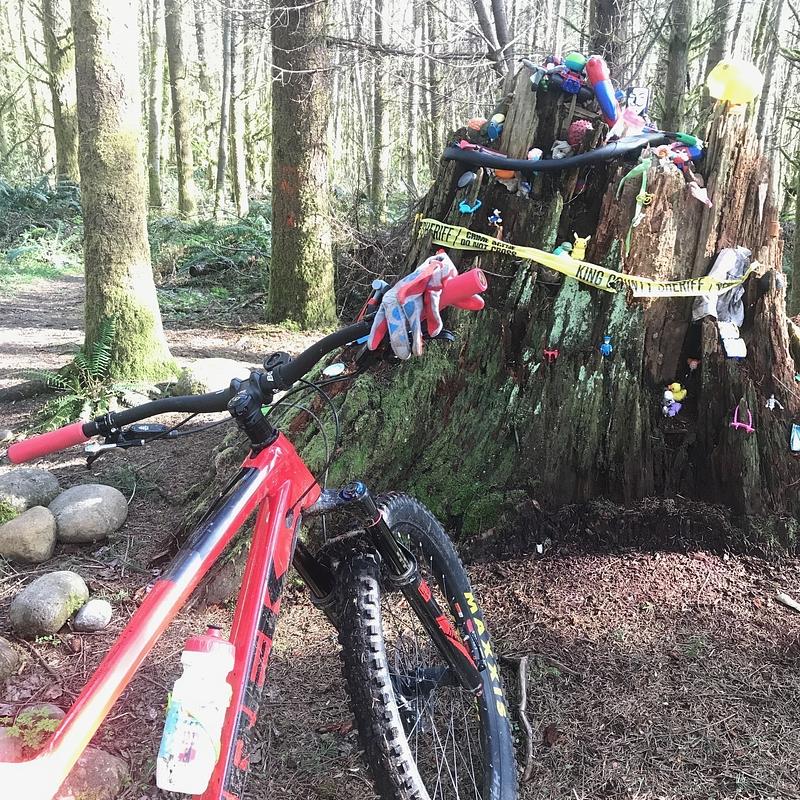 Photo of recovered bike