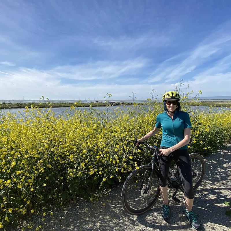 Photo of recovered bike