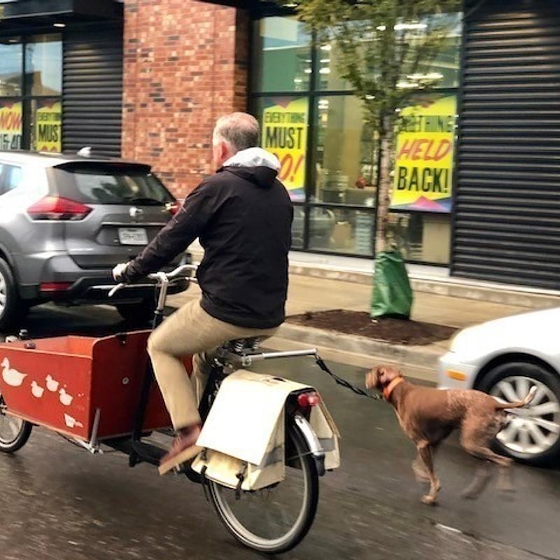 Photo of recovered bike