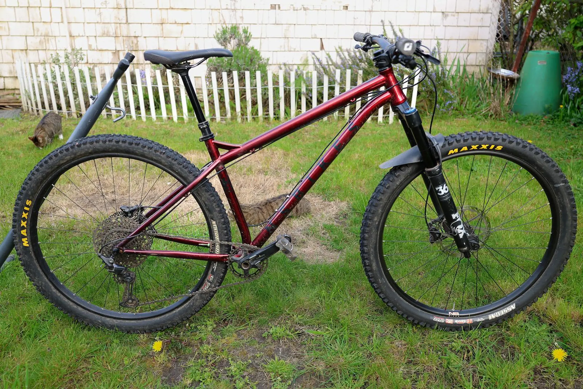 Bike photo