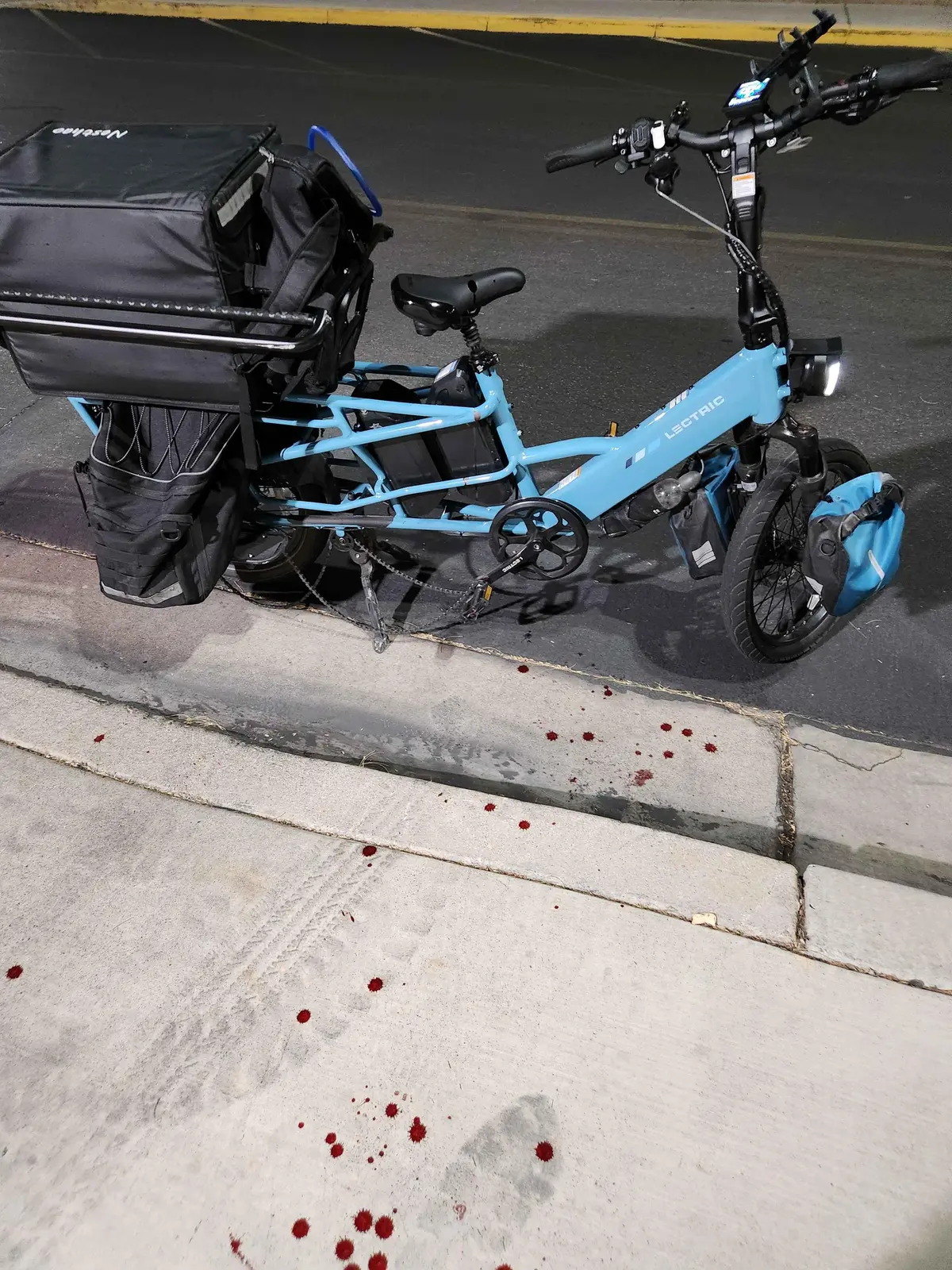 Cargo Bike Rear photo