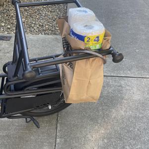 Radio Flyer Flex cargo bike rear Black