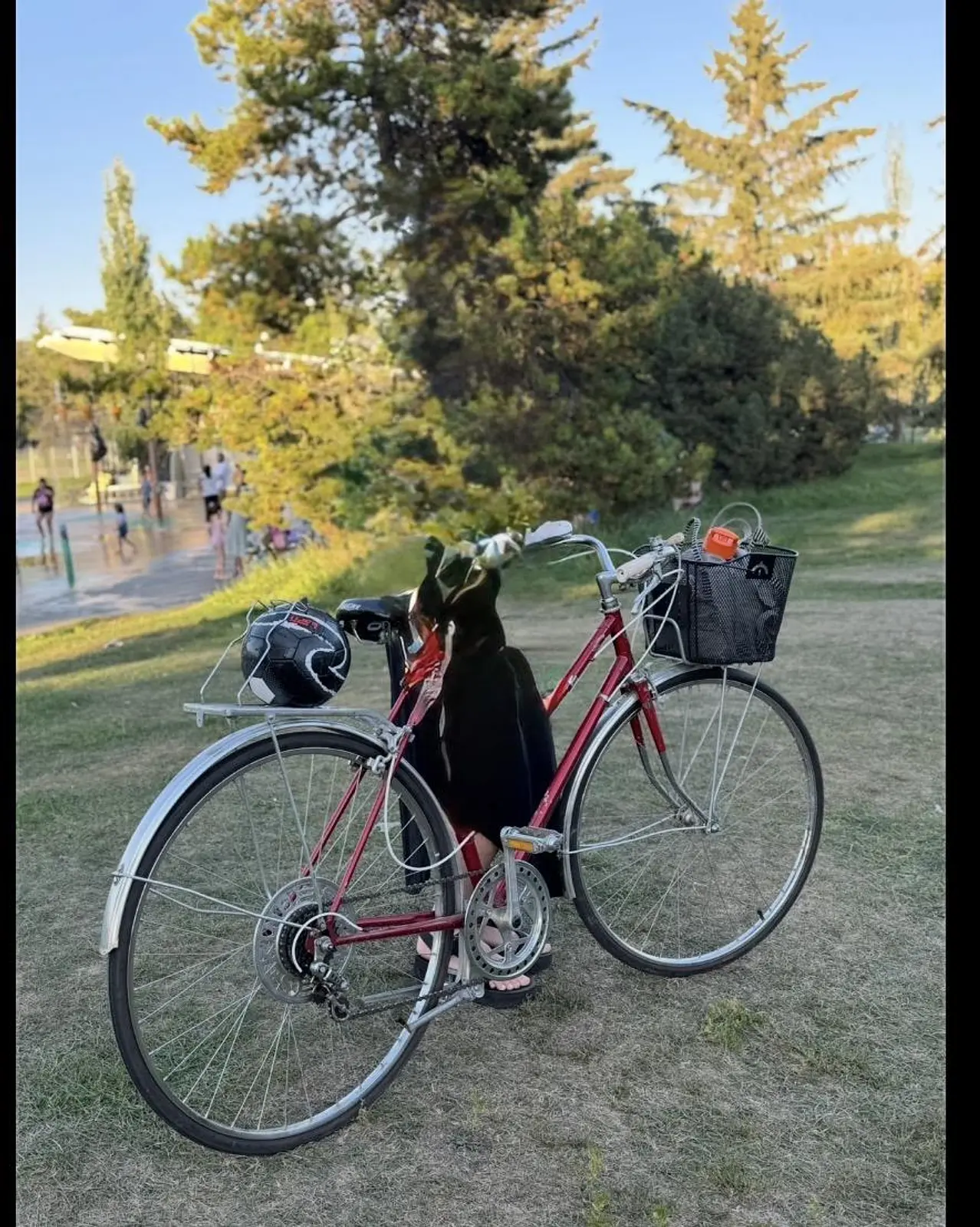 Bike photo