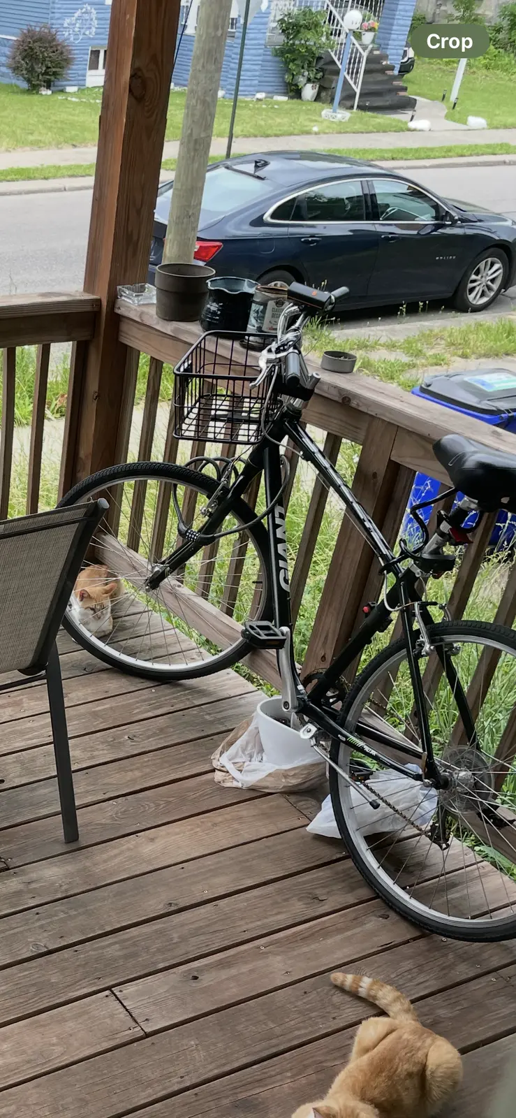 Bike photo