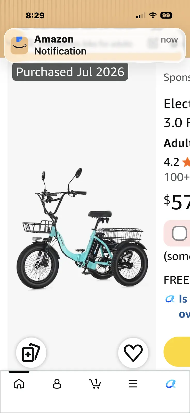 Cargo Tricycle photo