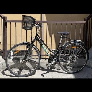 2006 Giant Cypress Black
