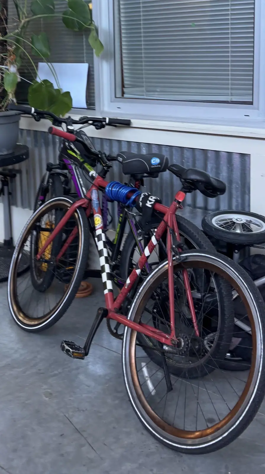 Bike photo