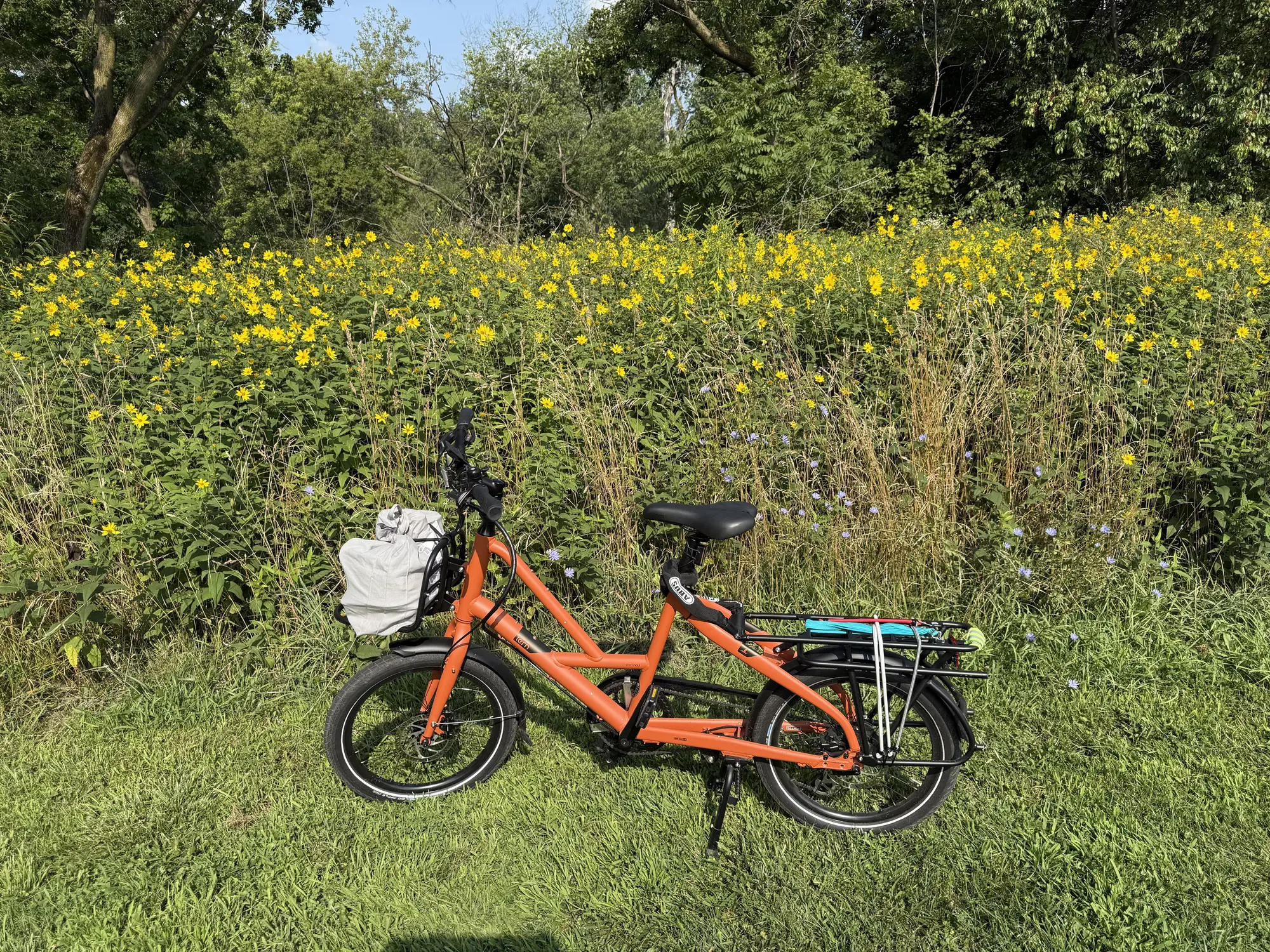 Cargo Bike photo