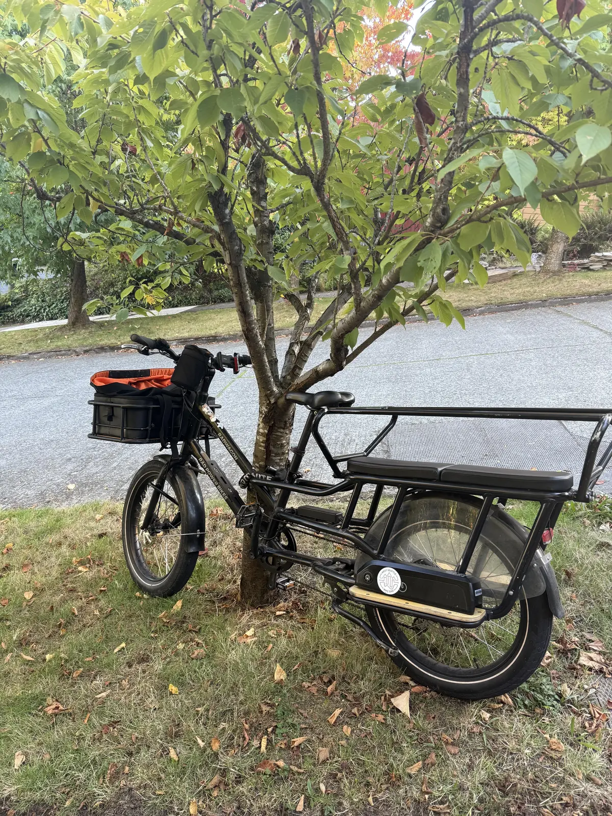 Cargo Bike Rear photo