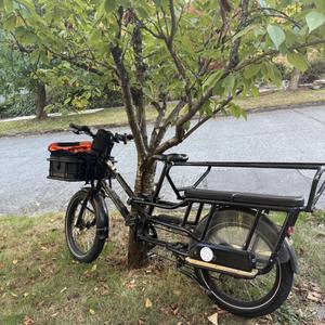 2022 Rad Power Bikes RadWagon4 cargo bike rear Black
