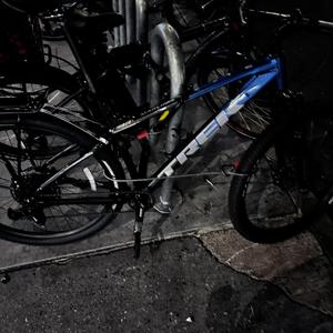 2024 Trek Marlin 8 XL 29 Blue and Black
