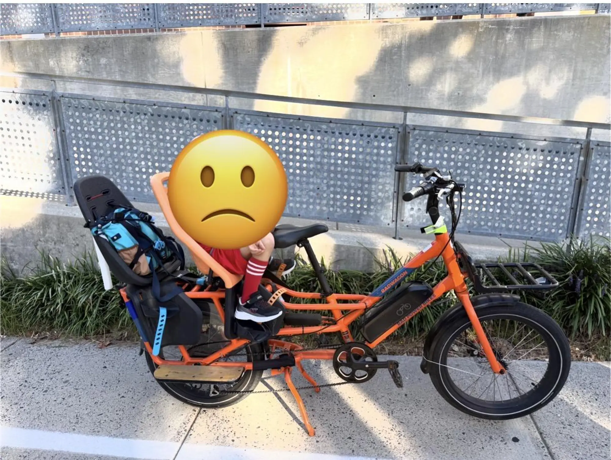 Cargo Bike Rear photo