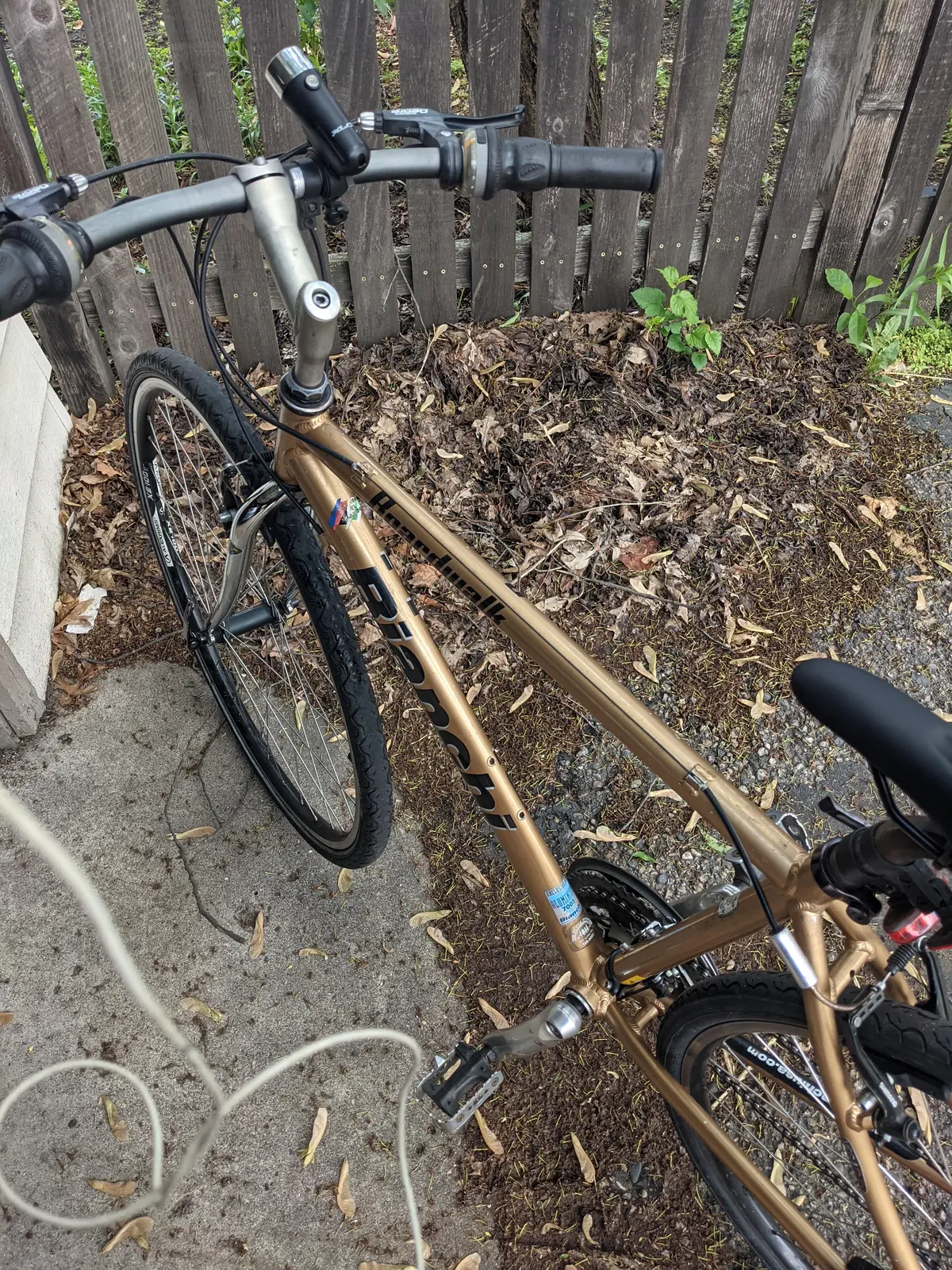 Bike photo