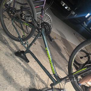 Diamondback moonraker