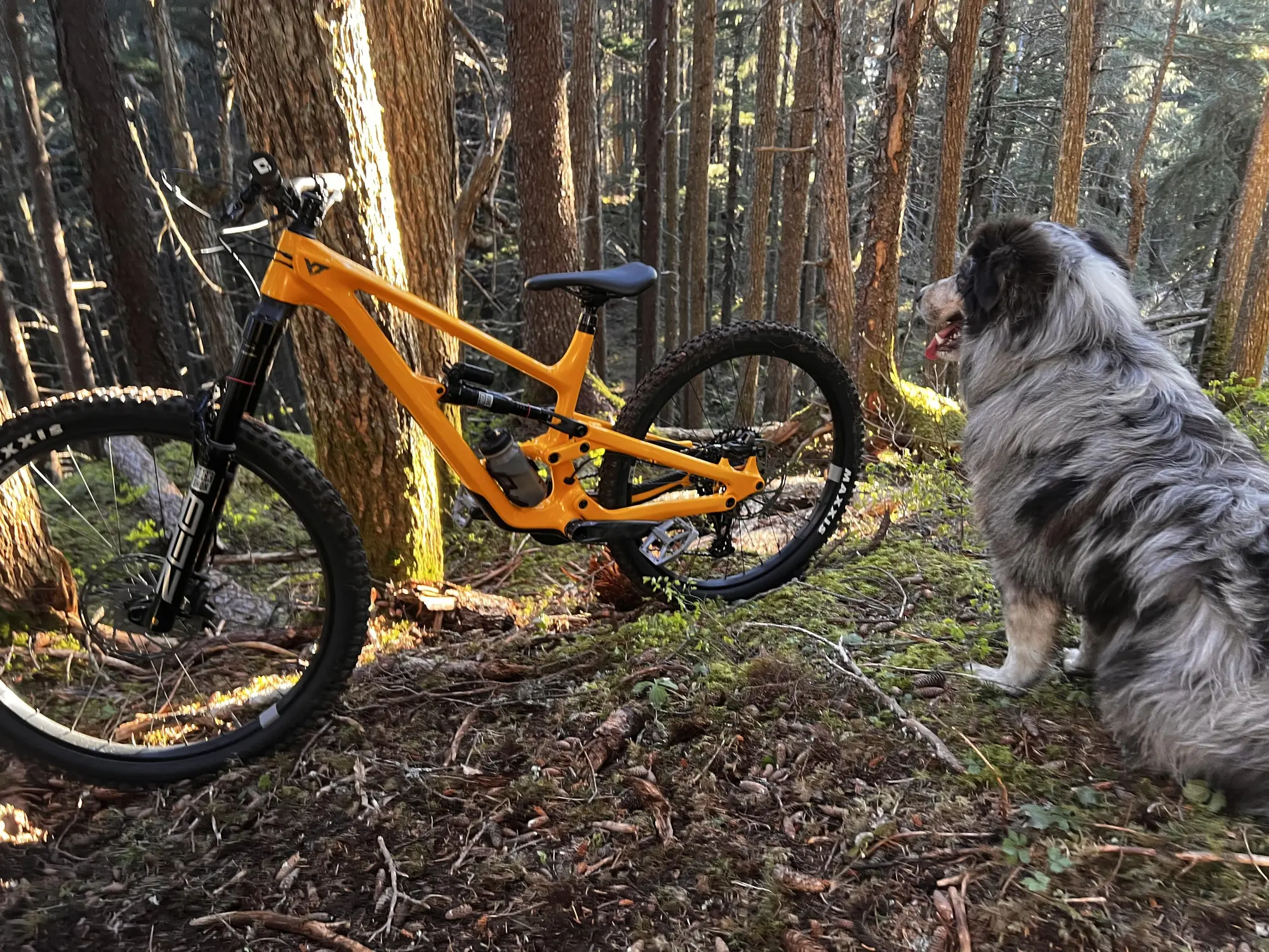 Bike photo
