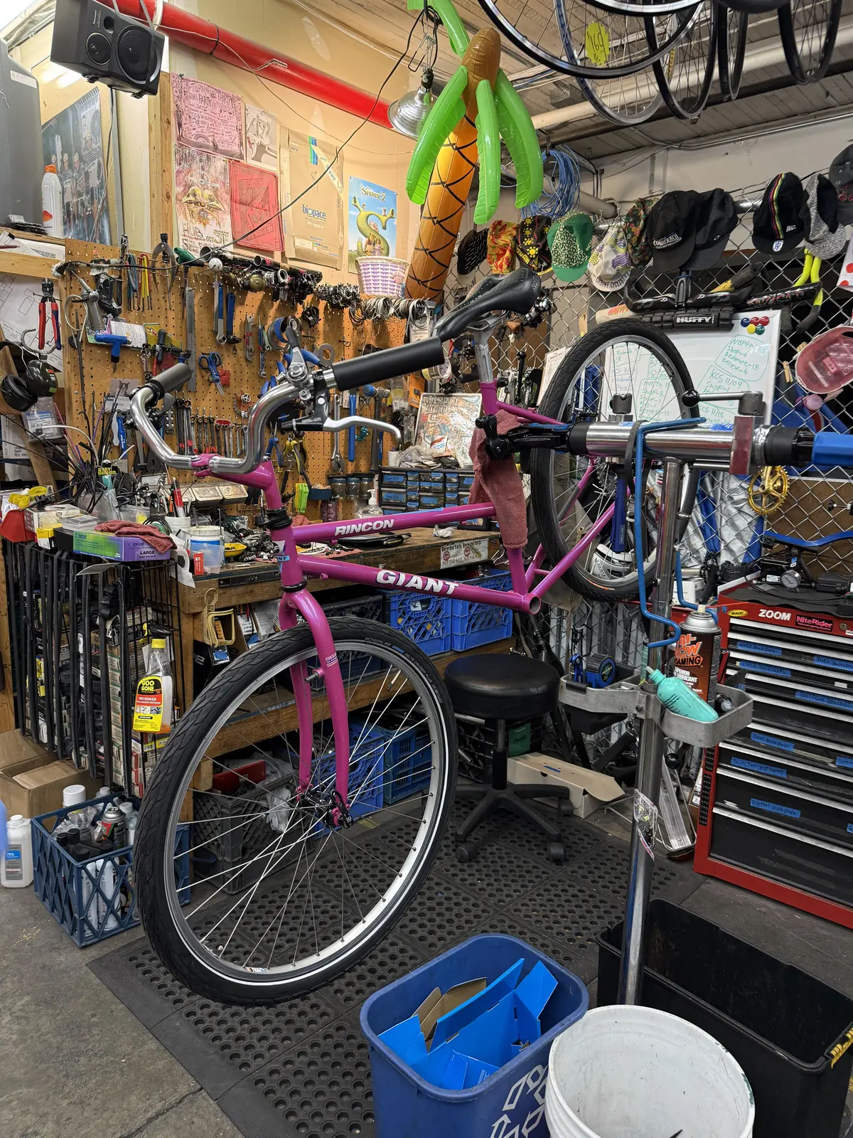 Bike photo