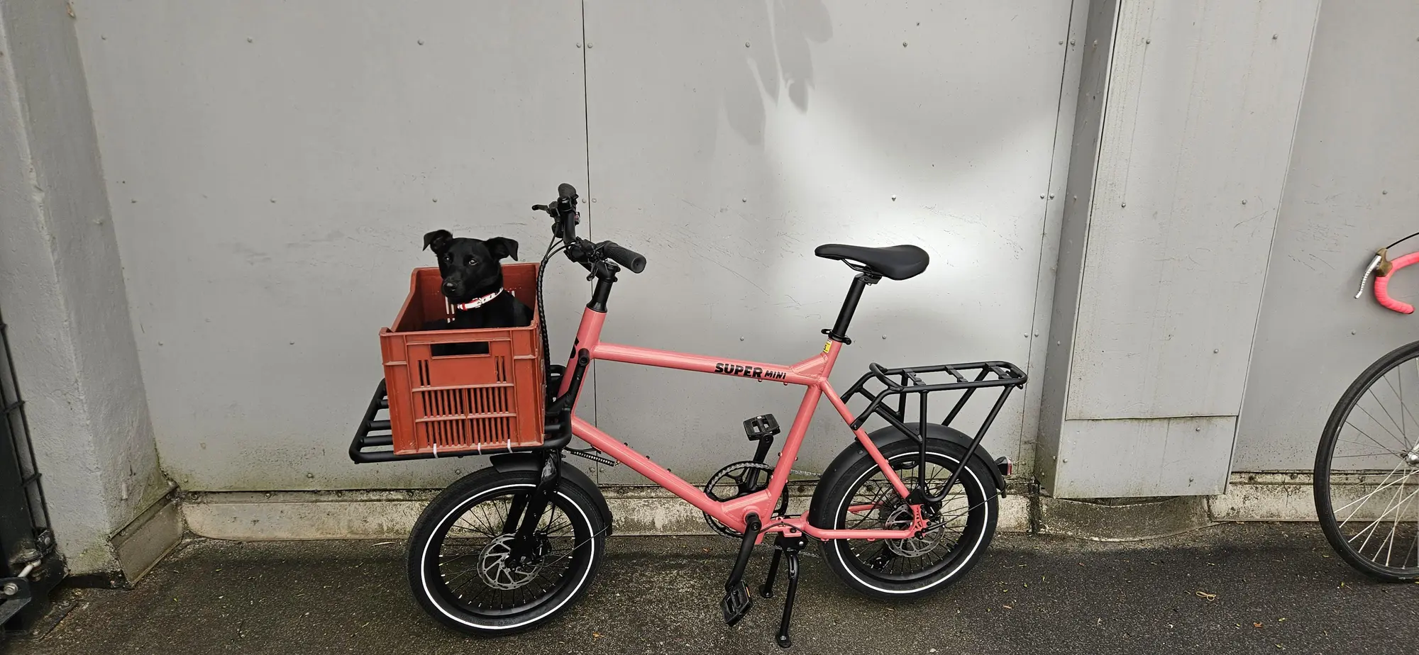 Cargo Bike photo