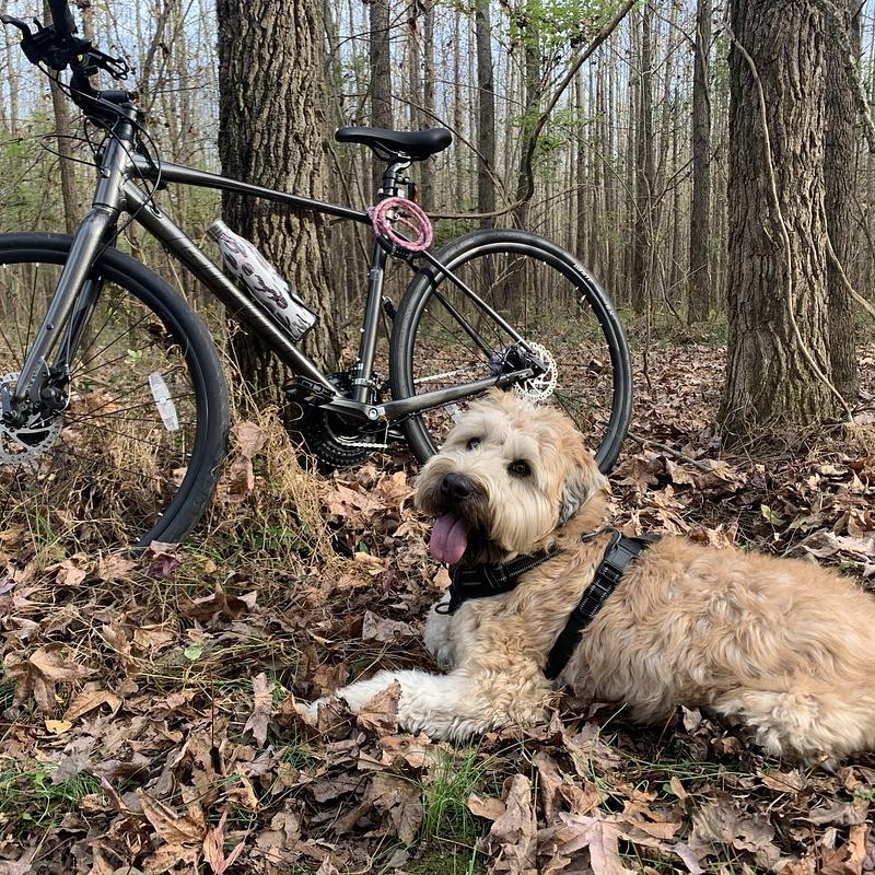 Photo of recovered bike